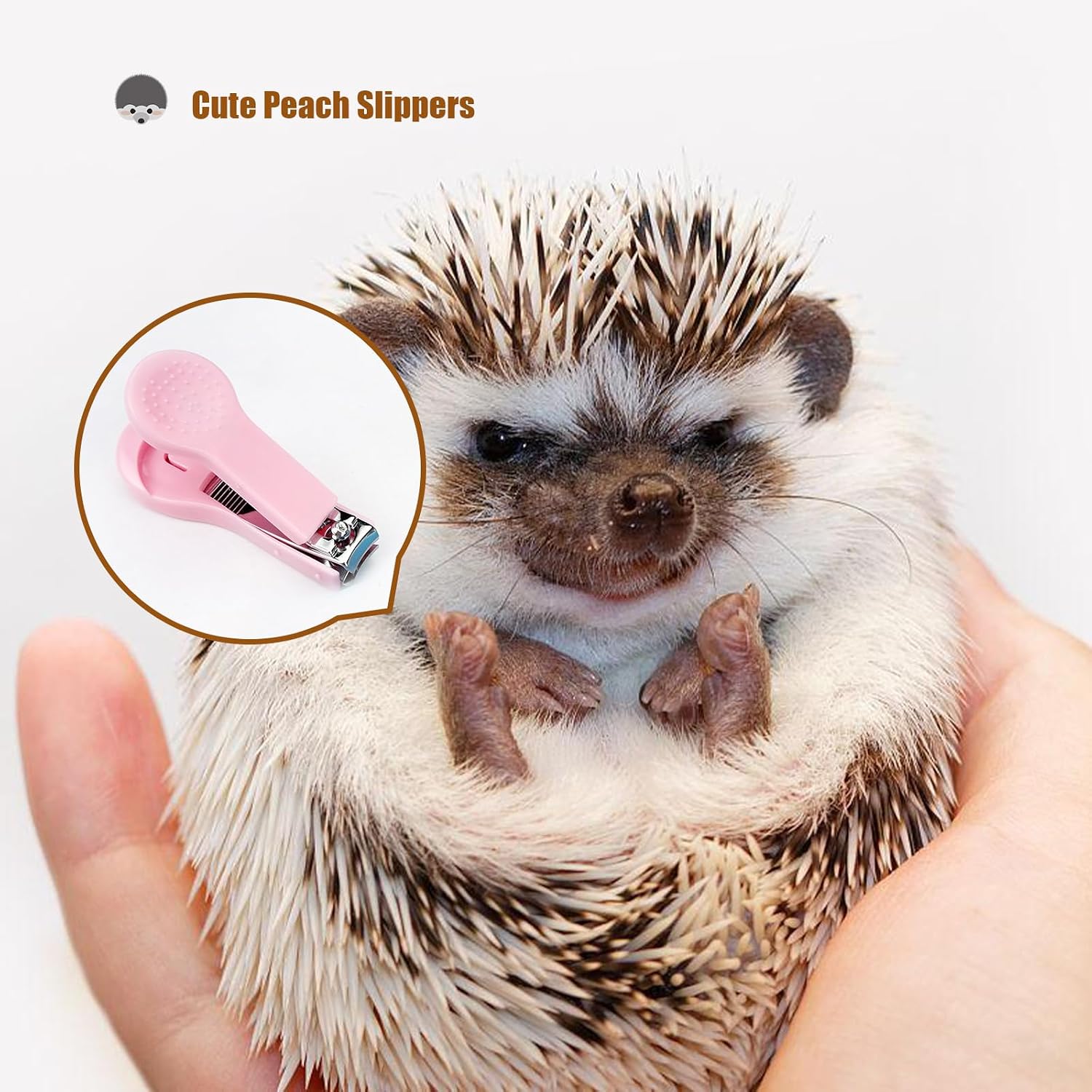 Hedgehog Bath Supplies, Foldable Hedgehog Bathtub, Hedgehog Cleaning Brush, Nail Clippers, Slippers, Small Animal Bath Supplies, Pet Guinea Pig Bath for Hedgehog Hamster Reptile image 5