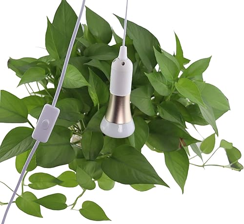 Miniatura 8 de REXTiN Paquete de 4 cables de extensión de enchufe de luz LED E26E27 de 5.9 pies con interruptor de encendidoapagado y enchufe de alimentación de CA