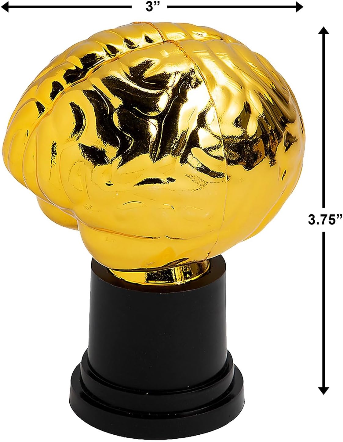 Fun Express Brain Trophys - Set of 12 - Classroom, Office and Party