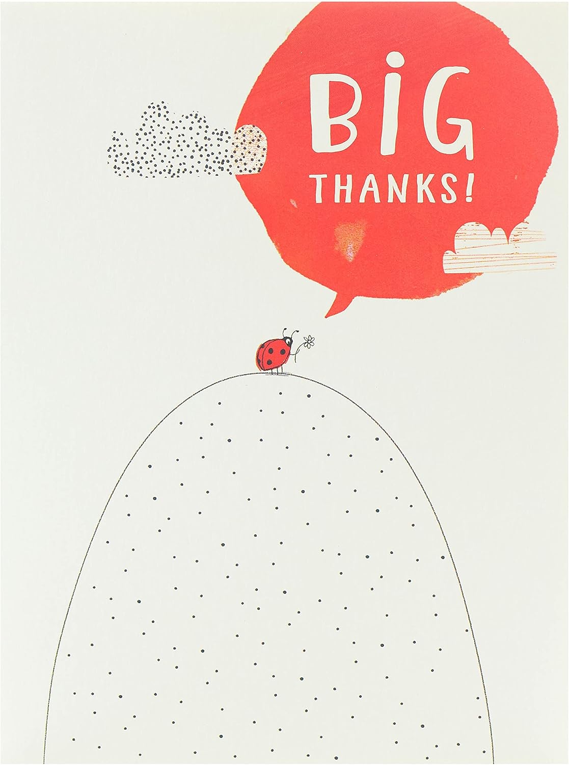 Kindred - Big Thanks - Thank You Card, White, 117mm x 157mm