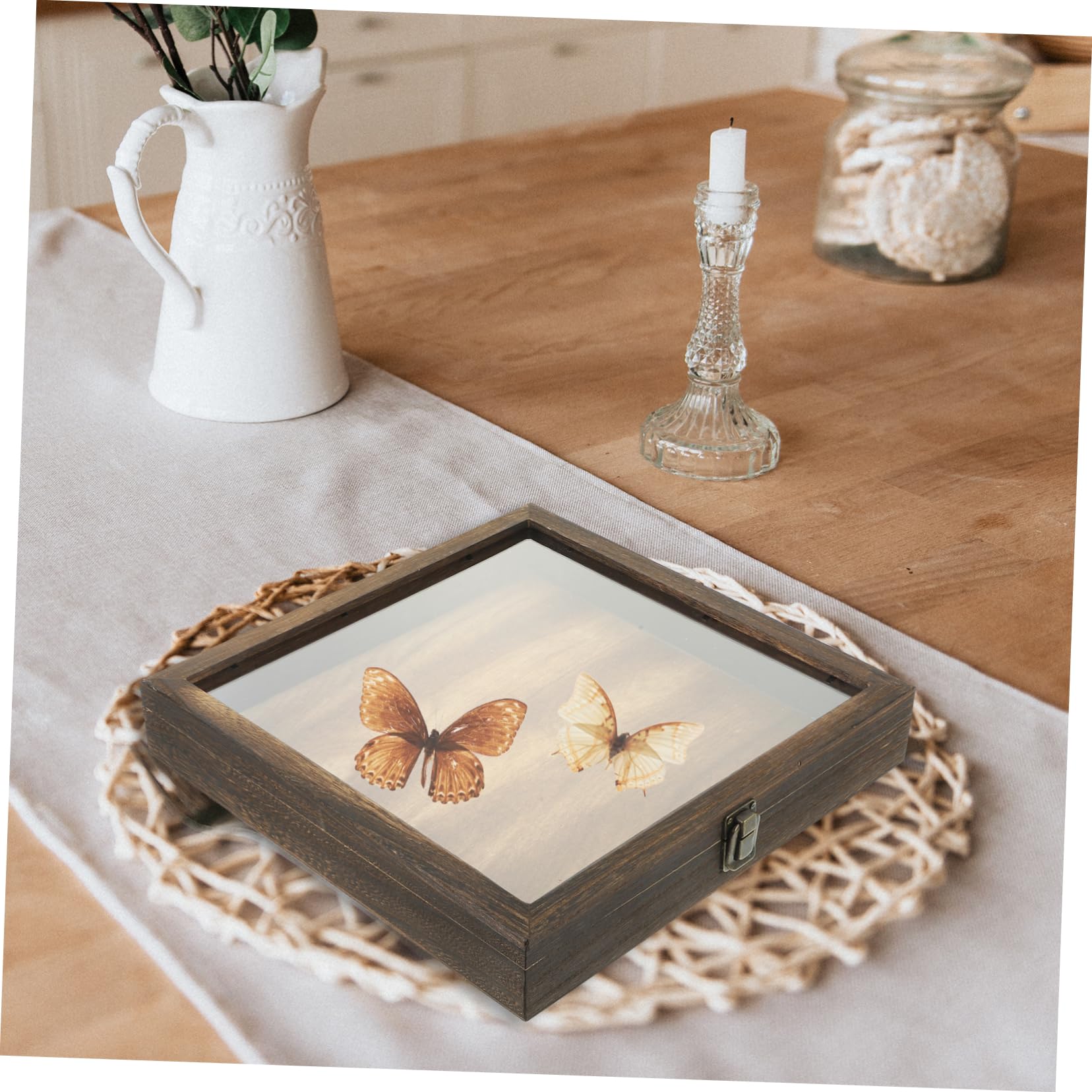 Cabilock Boîte à Spécimens pour Insectes Vitrine Rétro avec Couvercle Transparent Rangement Multifonctionnel pour Objets de Collection Caisse