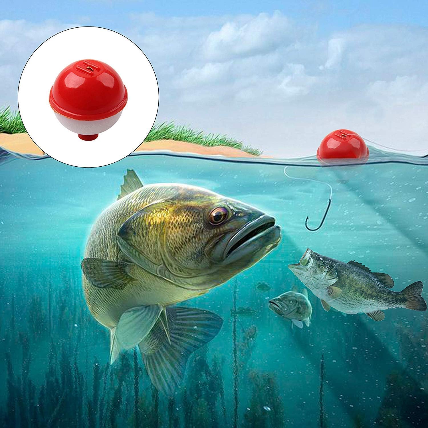 Fishing Bobbers Tackle Kit - 223pcs Fishing Bobbers Kit with Box Include Fishing Bobbers Hooks Swivel Sinkers Fixed Float Rigs Octopus Hooks Baitholder Hooks Aberdeen Hooks for Dropper Rig : Sports & Outdoors