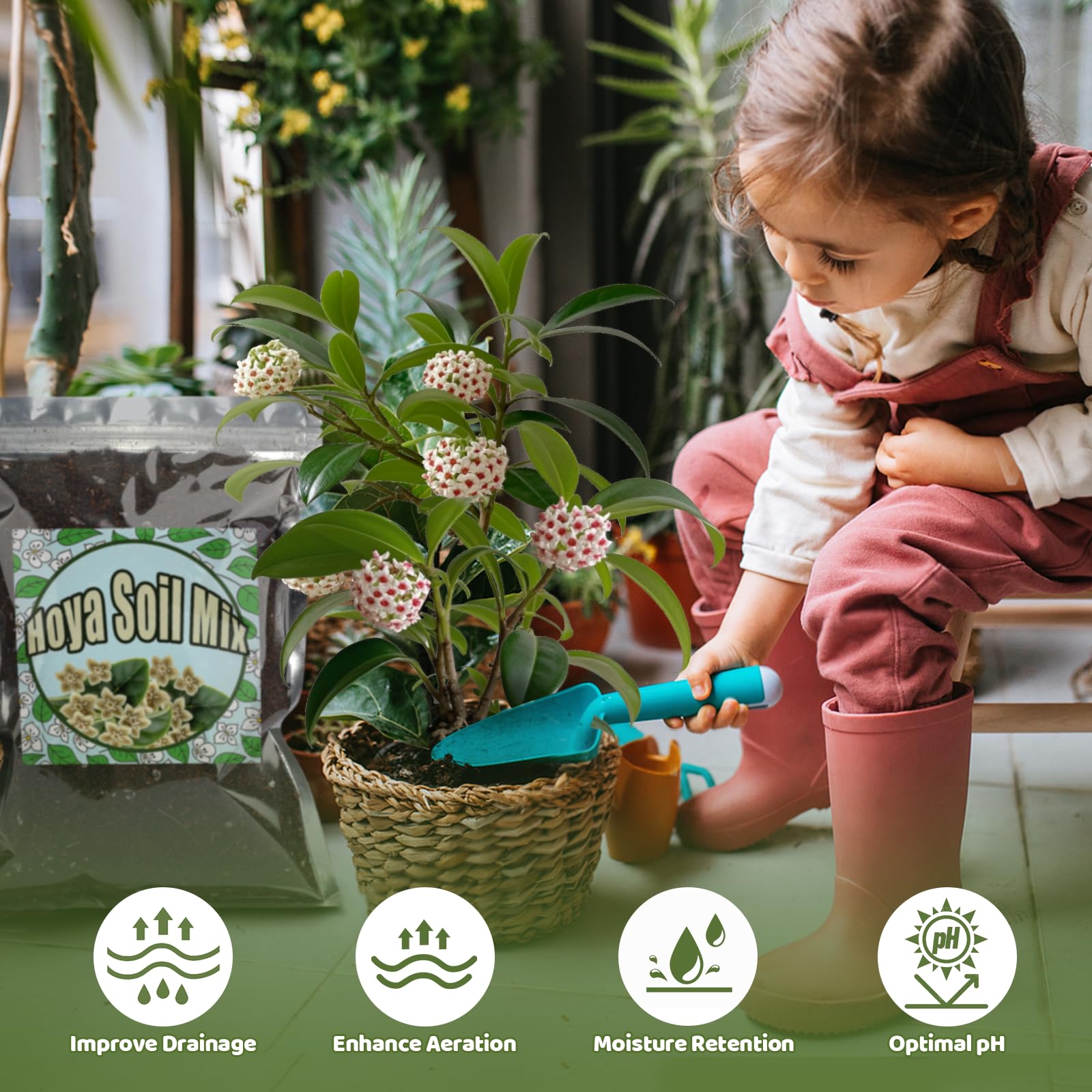 Miscela di terra per Hoyas, miscela mescolata a mano individualmente, adatta per piante Hoya piantate in vaso per interno/esterno (4L)