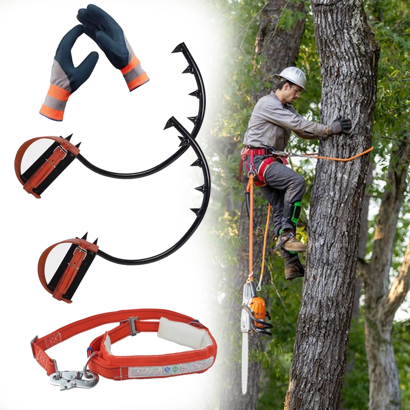 Pointes d'escalade de 25 cm en acier durable pour élagueurs et travaux sur poteaux