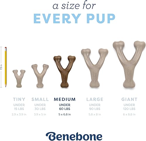 Vista 4 de Benebone Puppy Wishbone - Juguetes masticables para perros, más suaves para masticadores modestos, fabricados en Estados Unidos, mediano