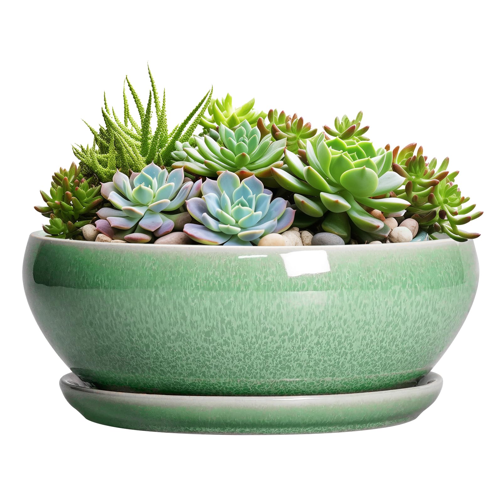 SQOWL 12 Inch Succulent Planter