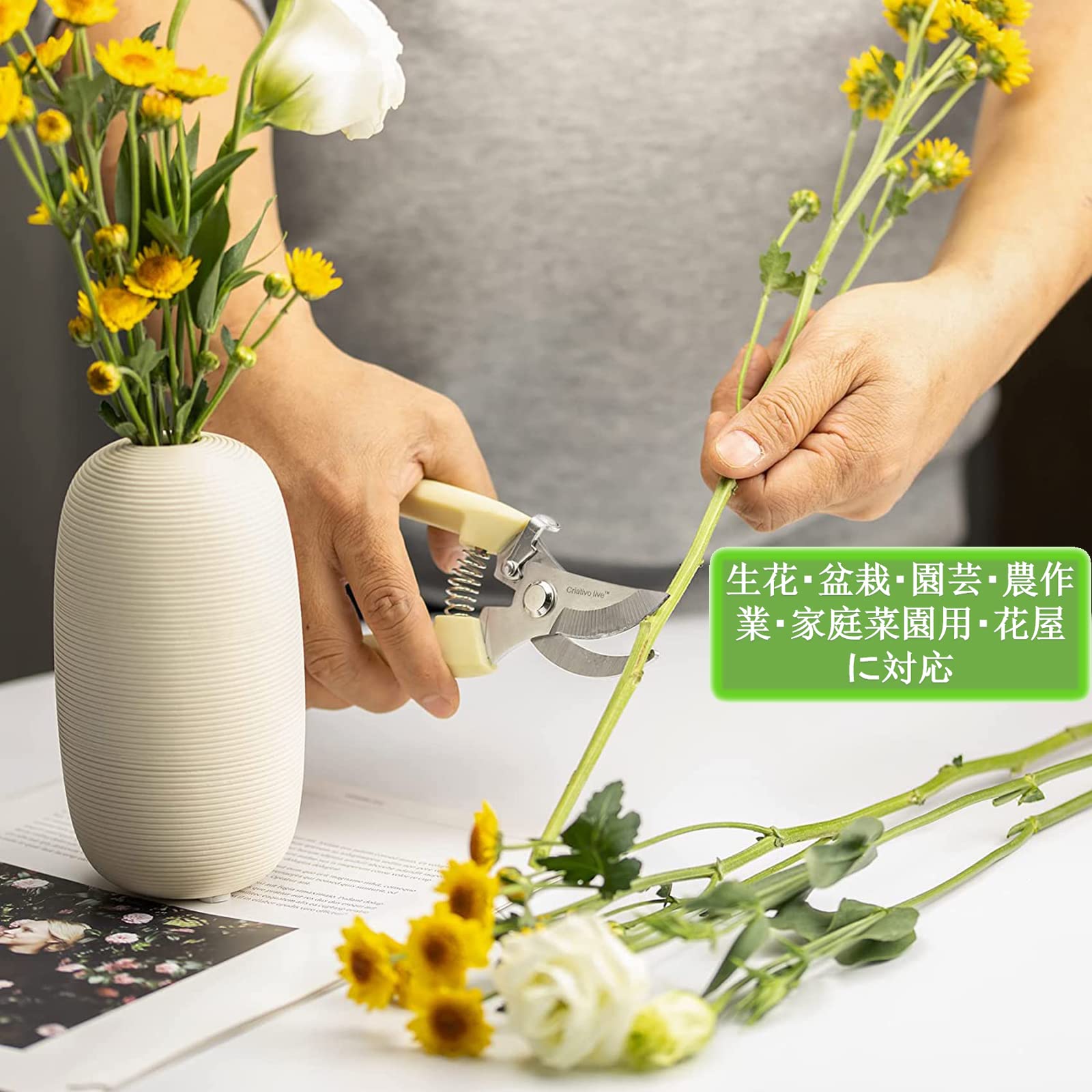 剪定ばさみ 生花　盆栽　日本　盆栽用　剪定鋏 9本セット 剪定ばさみ 生花盆栽日本盆栽用剪定鋏 9本セット