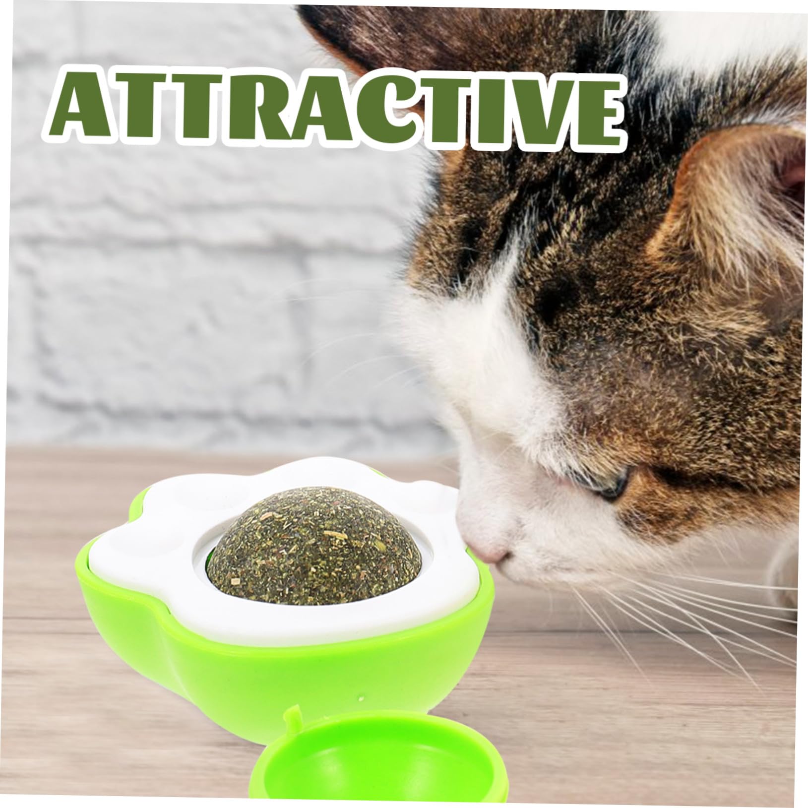 SUPVOX 10sets Giocattolo Per Gatti Con Pallina Di Catnip Di Stimola Appetito e La Salute Orale Facile Da Attaccare Pareti e Mobili Per Divertimento Interattivo e Sicuro