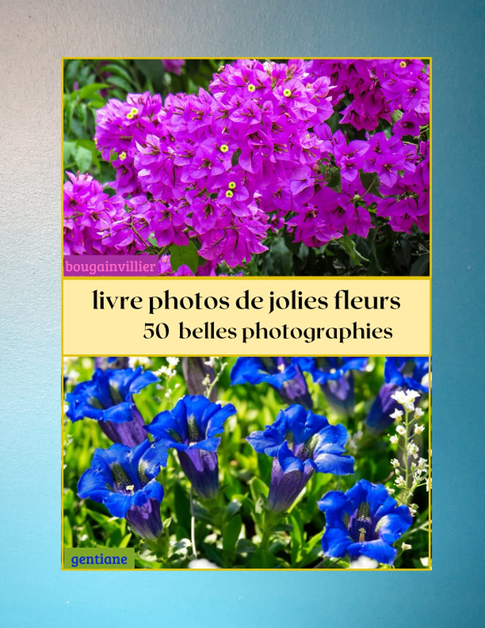 Buy livre photos de jolies fleurs: les fleurs de nos jardins,photos de