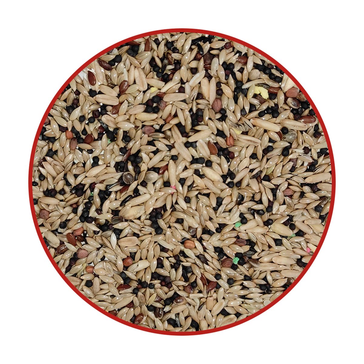 Alimento Premium para Canarios - Mezcla de Semillas, Cereales - Enriquecido con vitaminas - Ayuda al Funcionamiento intestinal óptimo - 20KG