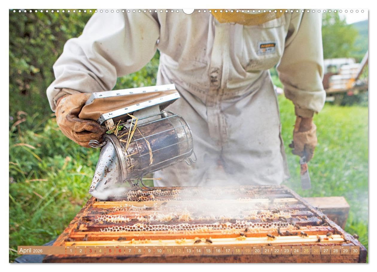 Der Imker: Leidenschaft für die Bienen (hochwertiger Premium Wandkalender 2026 DIN A2 quer), Kunstdruck in Hochglanz: Die fleißigen Bienen: Blumes Liebling im Garten (CALVENDO Tiere)