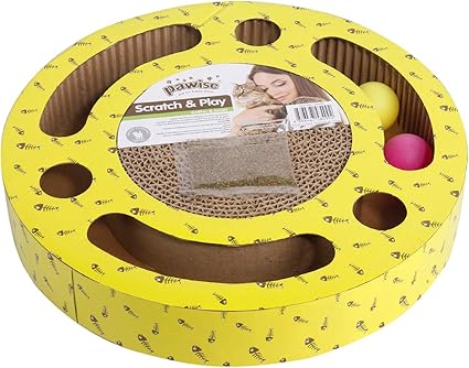 cat toy circle with ball inside