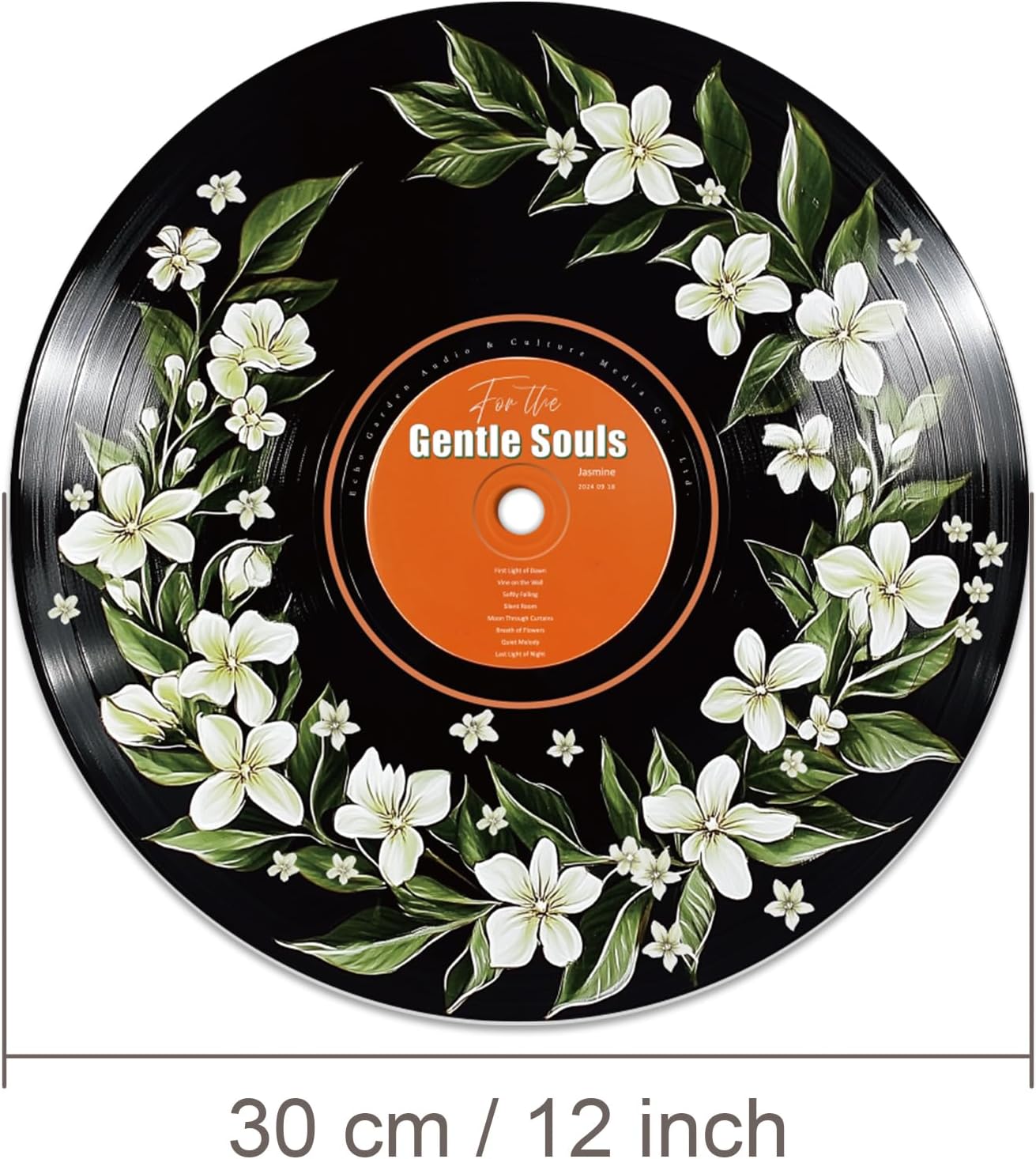 twinklemon 4PCS Vinyl Record Decor 12 Inch Record Decorations Botanical Wall Art Hippie Decor Posters for Room Aesthetic Flower Leaves Records Wall Art for Music Party Studio Display