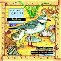 Algopix Similar Product 15 - Seashore (One Small Square)