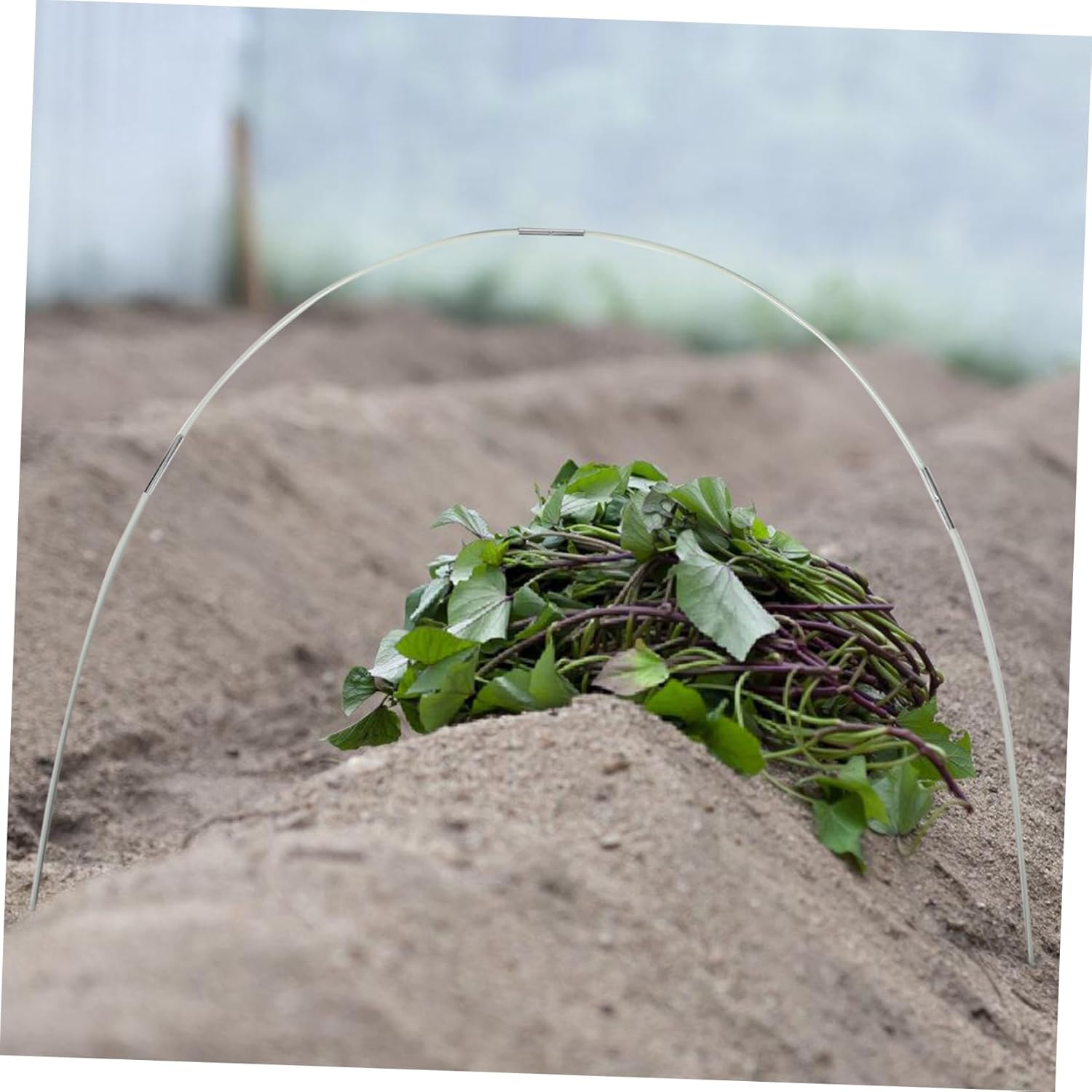 1 Set Fiberglass Garden Greenhouse Tunnel Support Cage for Raised Beds Row Cover Plant Support Stakes