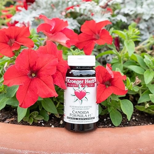 Miniatura 8 de Kroeger Herb Products, Fórmula Candida #1, desintoxicación para la limpieza natural de Candida, ayuda a la salud intestinal y vaginal, suplemento de