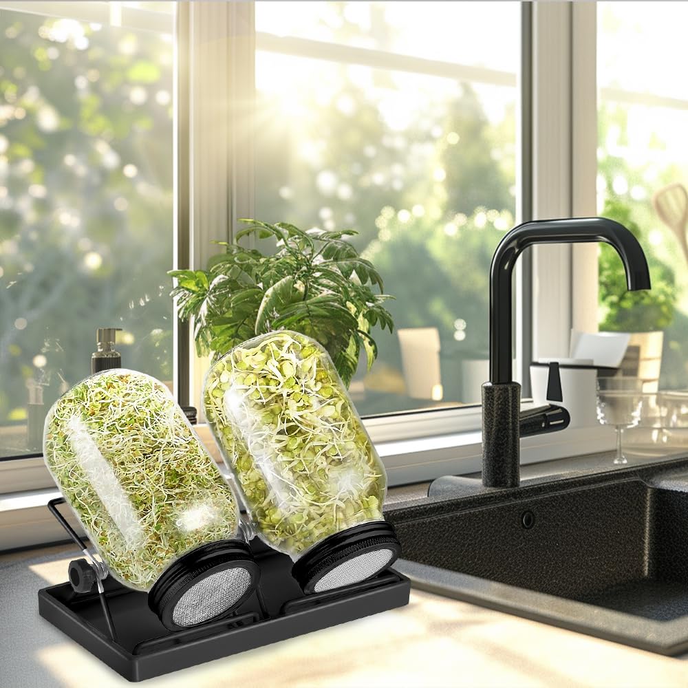 ecooe Sprossen - Juego de 2 tarros de cristal germinado para brotes de cristal con 1 cuenco de agua, 2 cubiertas de rejilla de filtro de acero inoxidable 304 y 2 soportes
