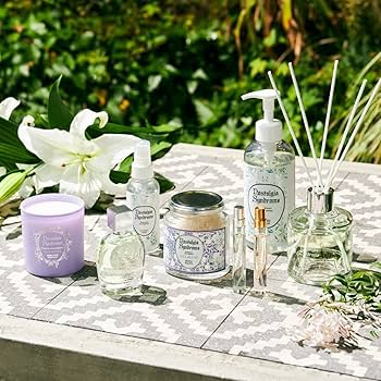 レア香水 ロクシタン ノートルフロールジャスミン 75ml 楽天市場】ロクシタン L'OCCITANEジャスミンイモーテルネロリ