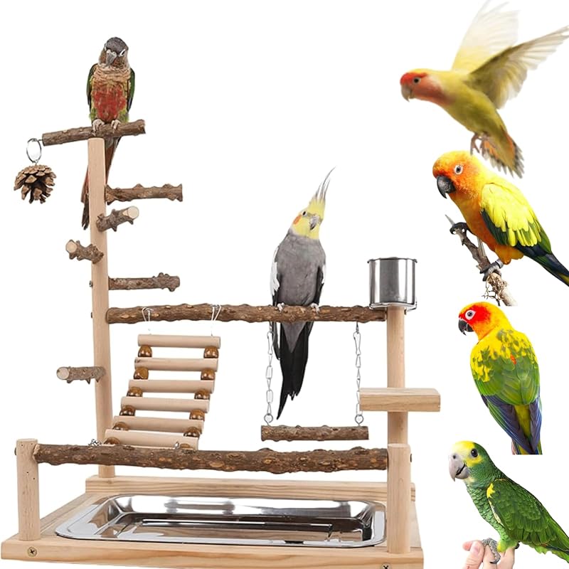 Playground para Aves com Comedouros e Brinquedos, Suporte de Madeira GOVNPJ para Calopsitas e Periquitos