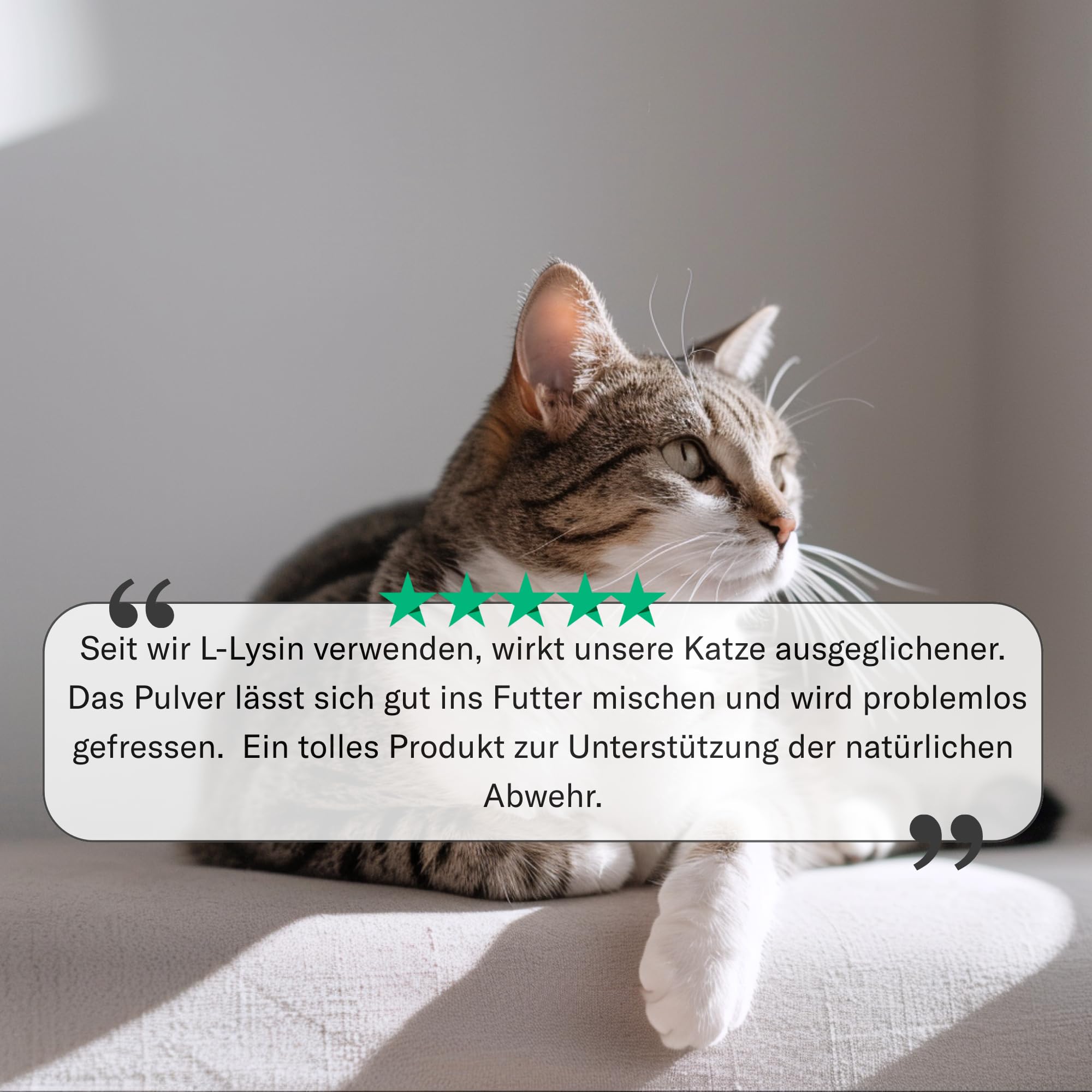 L-lisina per cani e gatti – Capsule di L-lisina ad alto dosaggio 670 mg per sostenere il sistema immunitario – Alimenti complementari amminoacidi – 100 capsule