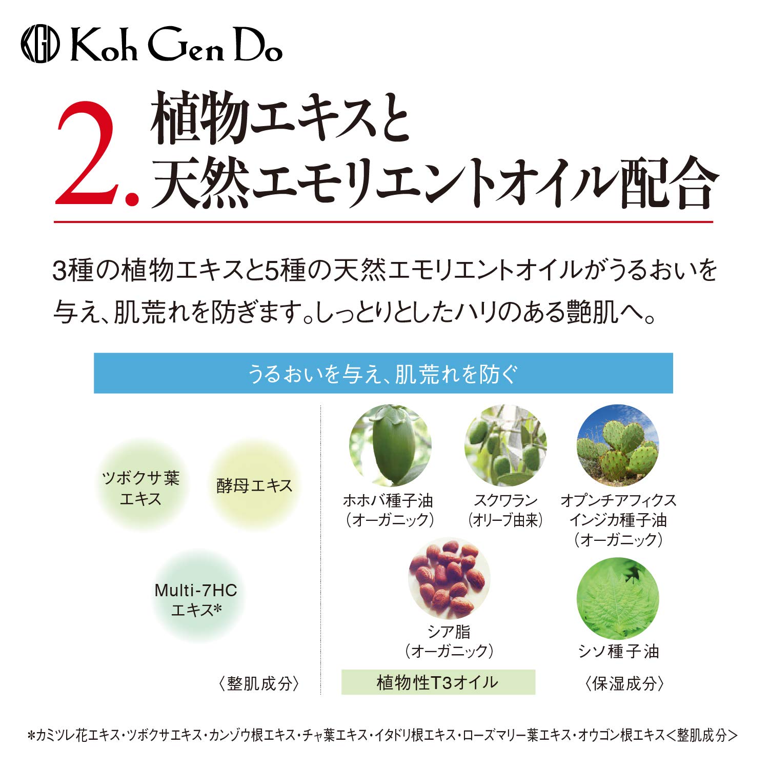 Amazon | コウゲンドウ(Koh Gen Do)江原道 オリエンタルプランツ