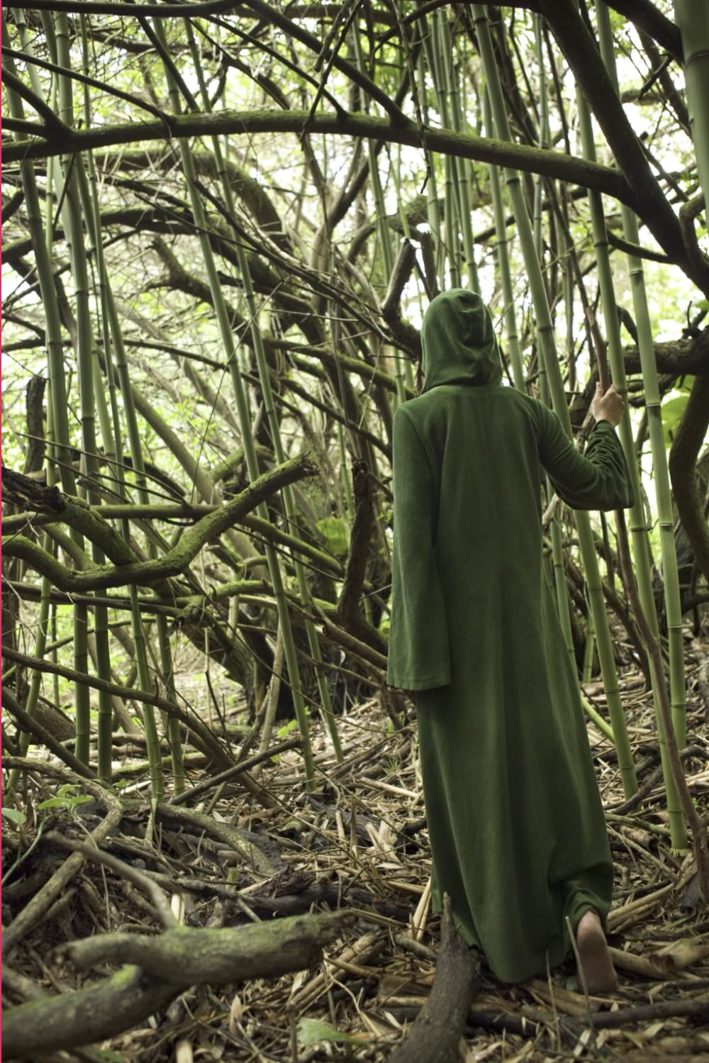 The Gem of the Forgotten Forest: Forest of Awakening, Self Realization,