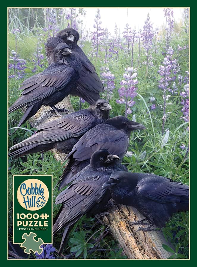 Cobble Hill 1000 Piece Puzzle - Raven Rendezvous - Sample Poster Included