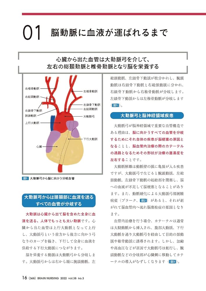 重要血管へのアプローチ 第3版 商品詳細ページ | メディカル