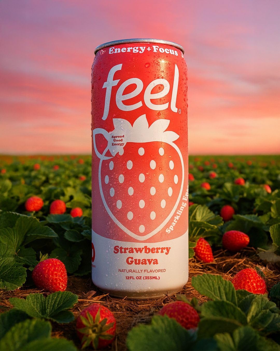 FEEL Zero Sugar Natural Energy Drink – Strawberry Guava, 140mg Plant-Based Caffeine with L-Theanine for Focus, Vitamin C for Immunity, Vegan, Non-GMO, No Artificial Sweeteners, 12 Fl Oz Cans (12-Pack) - Image 7