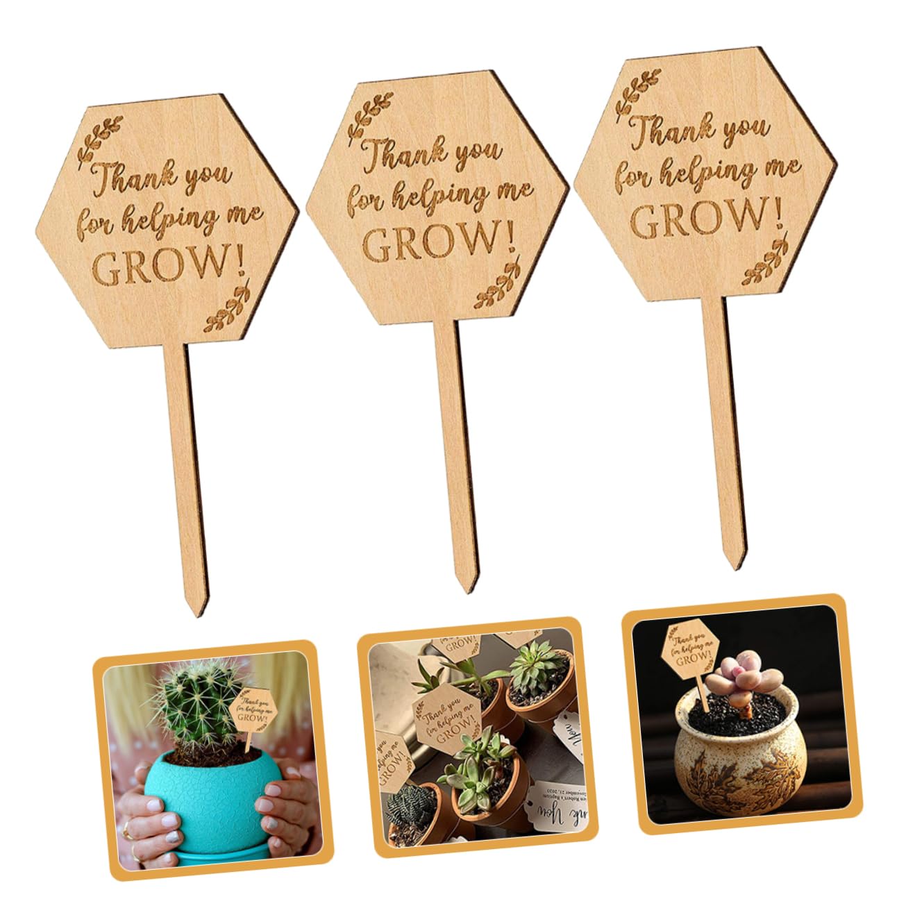 Toddmomy 100pezzi Etichette Per Marcatori Per Giardinaggio Per Bonsai Classificare e Identificare e