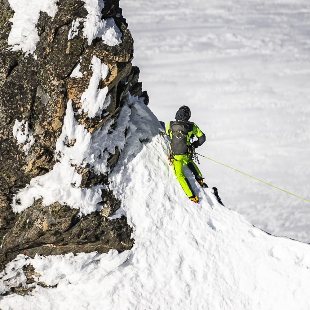 Horolezecké mačky Salewa Mtn Spike Crampon 0829 Černá