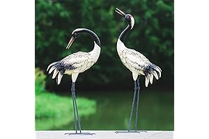 Chisheen Garden Crane Statues: The Essence of Avian Grace