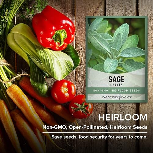 Miniatura 4 de Gardeners Basics, Semillas de salvia para plantar reliquia, variedad de hierbas sin OMG, ideal para jardinería interior y exterior