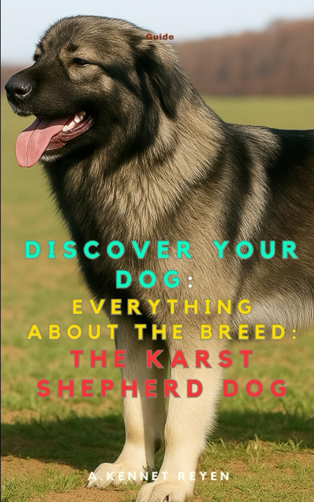 Discover your dog: Everything about the breed: The Karst Shepherd Dog