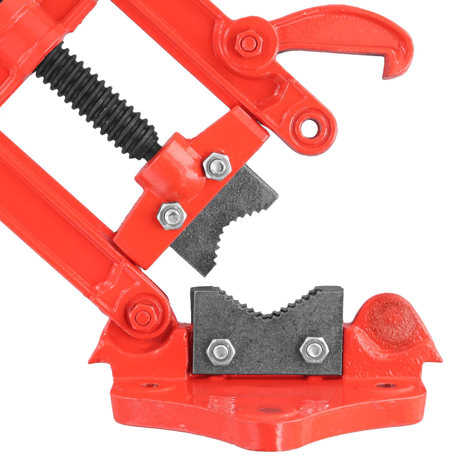 Morsa per tubi forgiata, 10-60 mm, morsa da tavolo di tubi