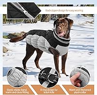 Vista 2 de Chaqueta de invierno para perro, abrigo impermeable y reflectante, resistente al viento, ropa cálida para mascotas, cómoda ropa de forro polar