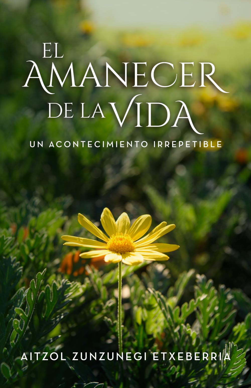 EL AMANECER DE LA VIDA: Un acontecimiento irrepetible