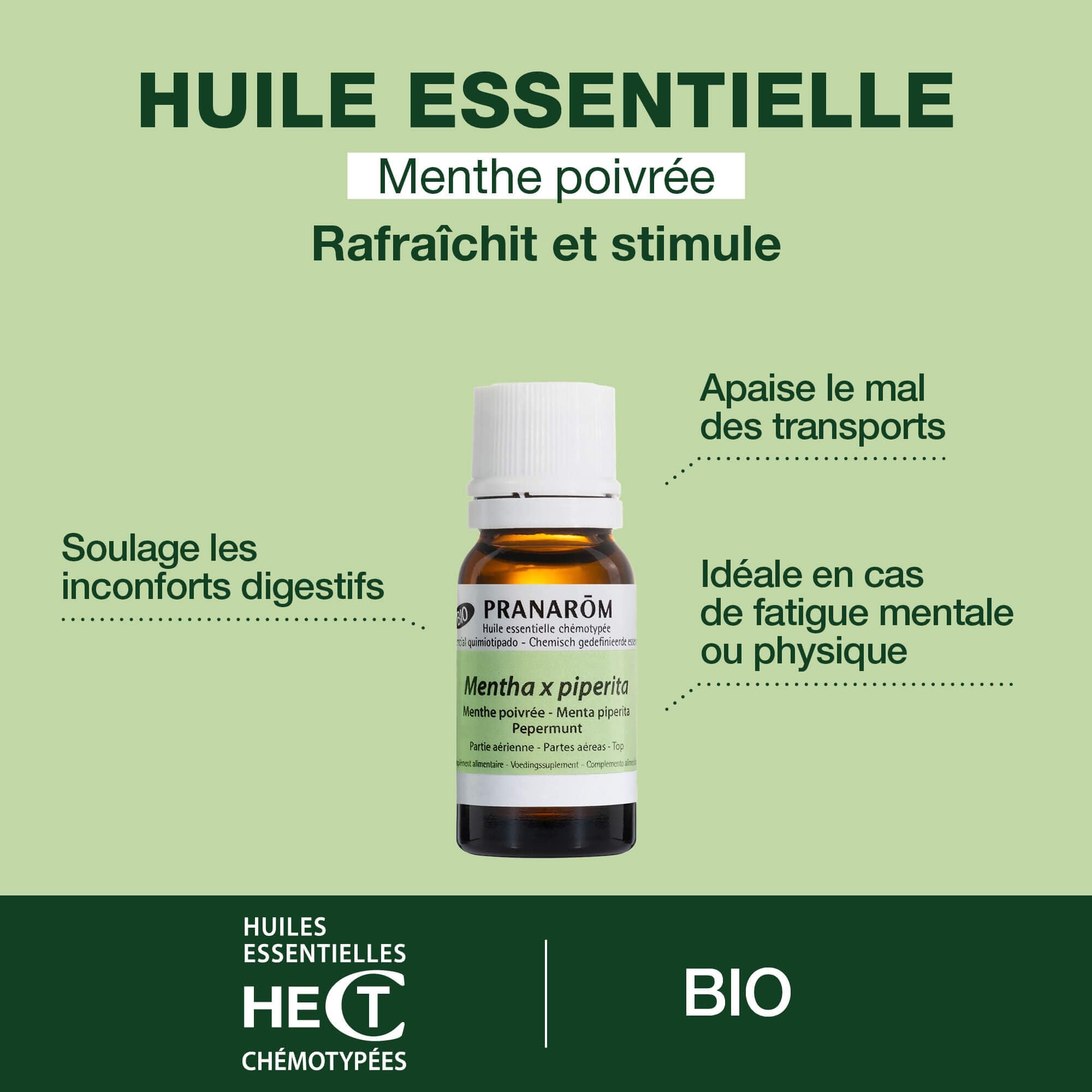 PRANAROM - Menta Piperita Bio -Pack de 3 - Aceite Esencial Quimiotipado - Digestión y Tono - 100% Puro y Natural - HECT - 5ml