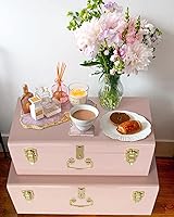 Vista 6 de Vixdonos Conjunto de 2 baúles de almacenamiento decorativos de metal – baúl para dormitorio universitario con asa (rosa)