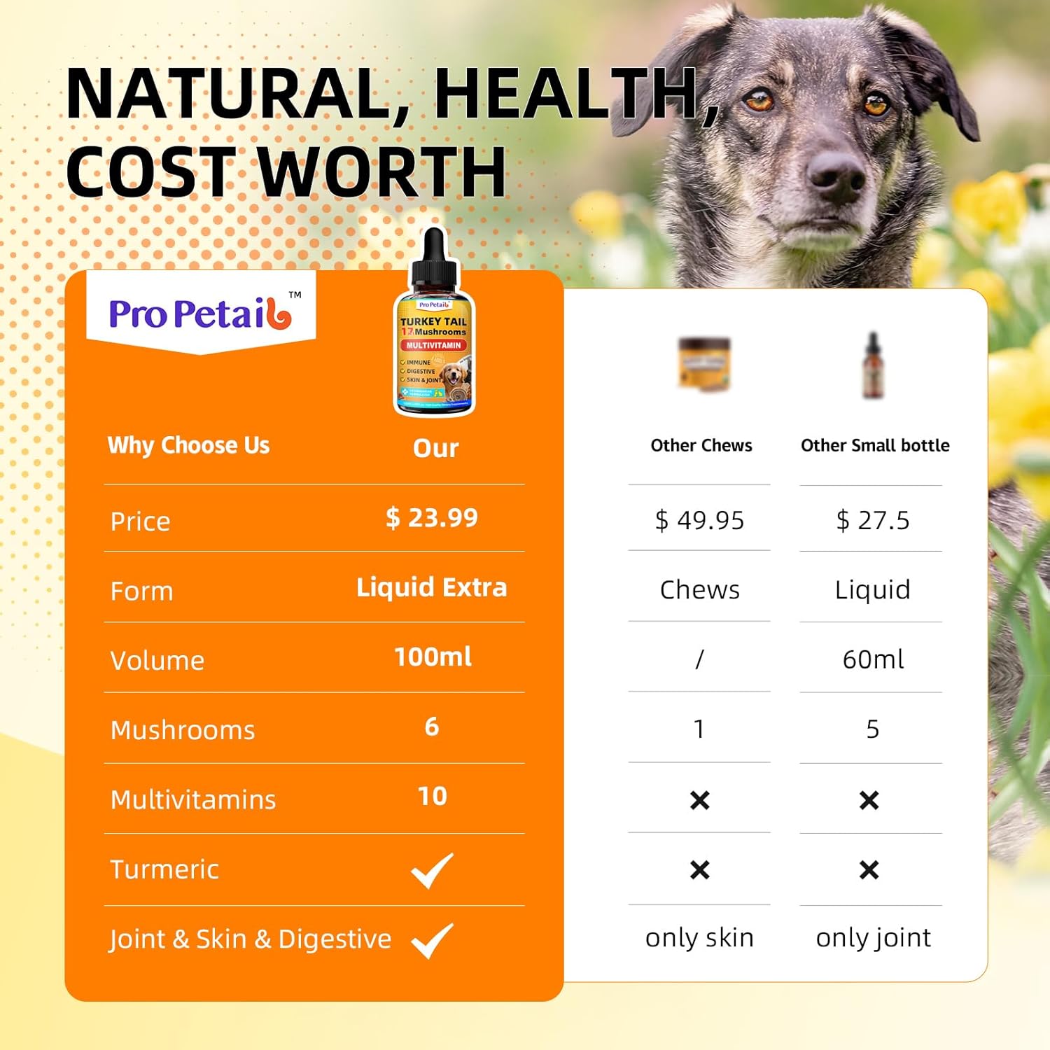 Turkey Tail Mushroom for Dogs - 3000mg Plus Formula Turkey Tail Probiotic + 10 Vitamins for Immune & Skin Lipoma, Wart, High Potency Liquid Mushrooms for Dogs with Turmeric - Vet Formulated