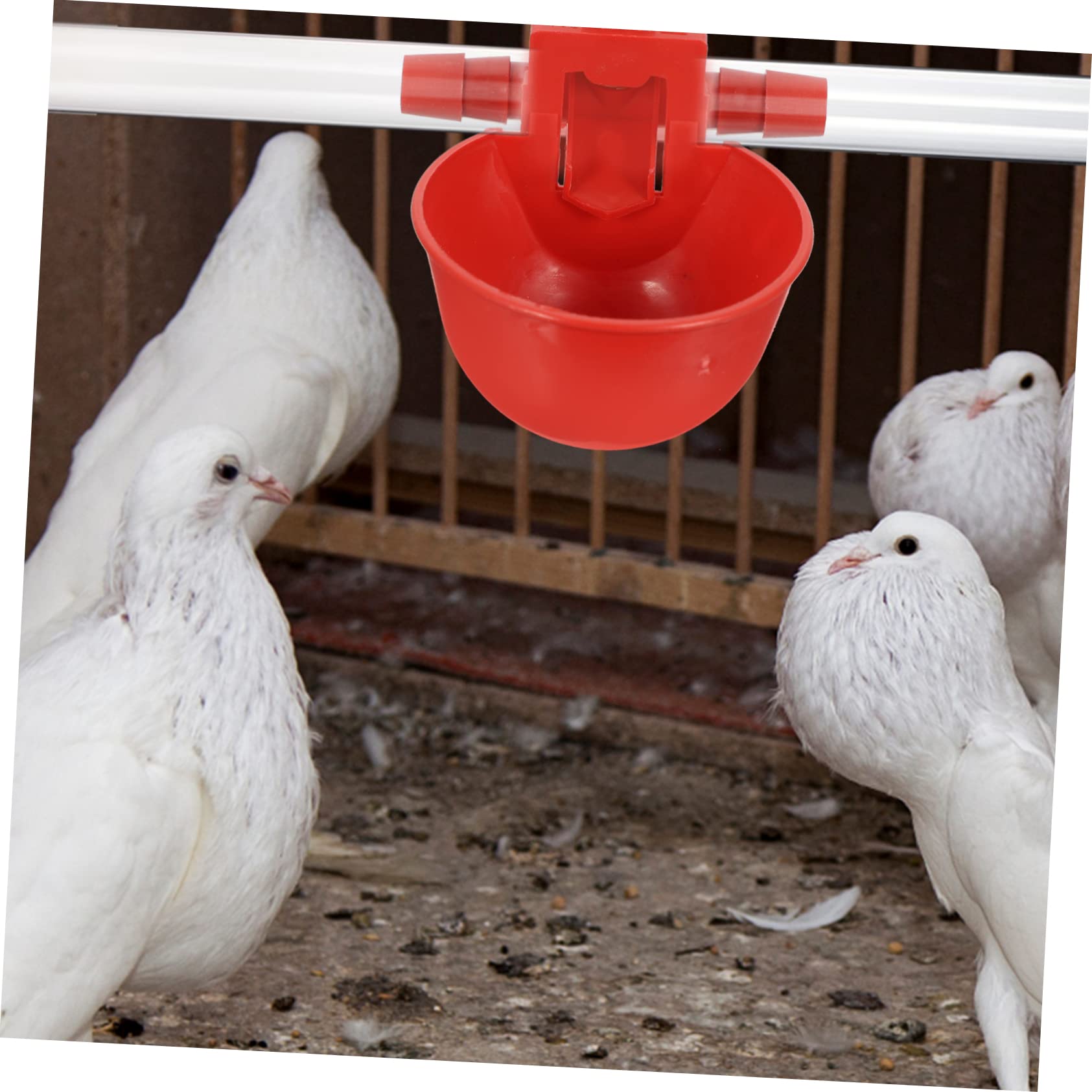 Bebedero Automático para Pollos y Palomas Rojo de Abs Ajuste de Agua Fácil y Seguro para Granjas Avícolas y Uso Doméstico Color Aleatorio