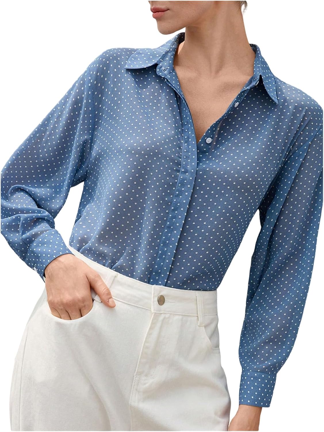 Milumia Women's Polka Dots Shirt Top Sheer Long Sleeve Button Down Collared Blouse Tops