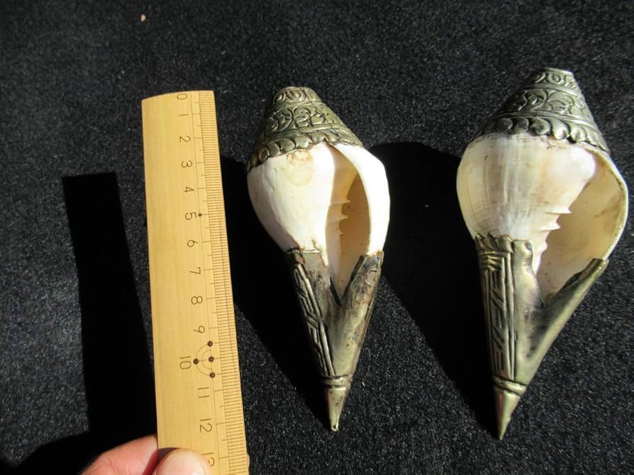 真鍮製シャンク（法螺貝）　印章　法具 真鍮製シャンク（法螺貝） 印章 法具