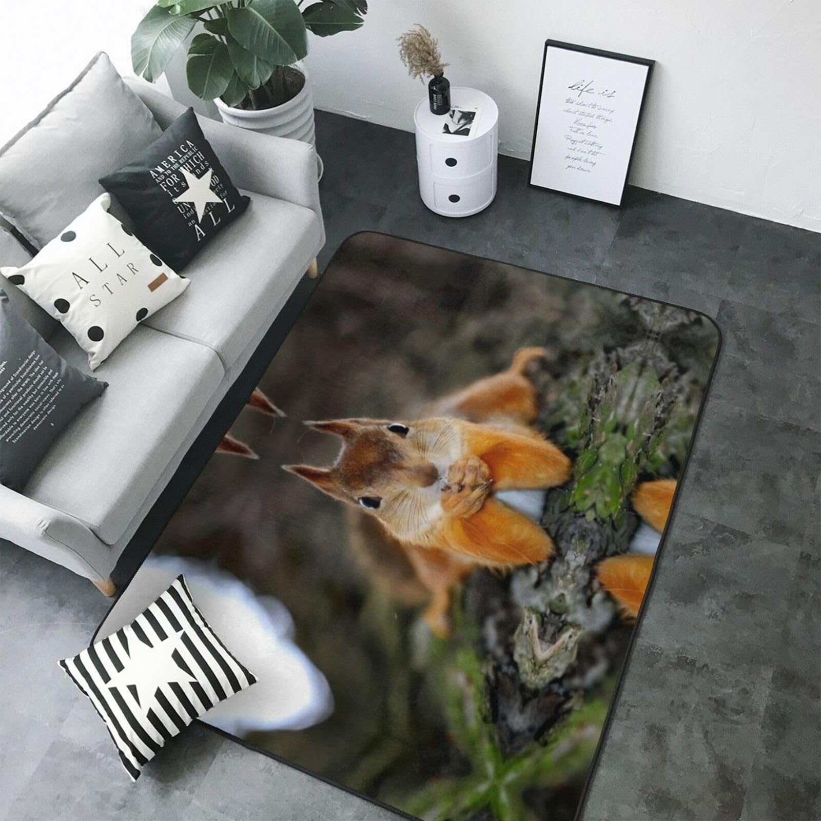 Tapis antidérapant en fausse fourrure avec imprimé écureuil amusant 203,2 x 147,3 cm – Couvre-lit confortable pour salon, chambre, bureau et plus encore