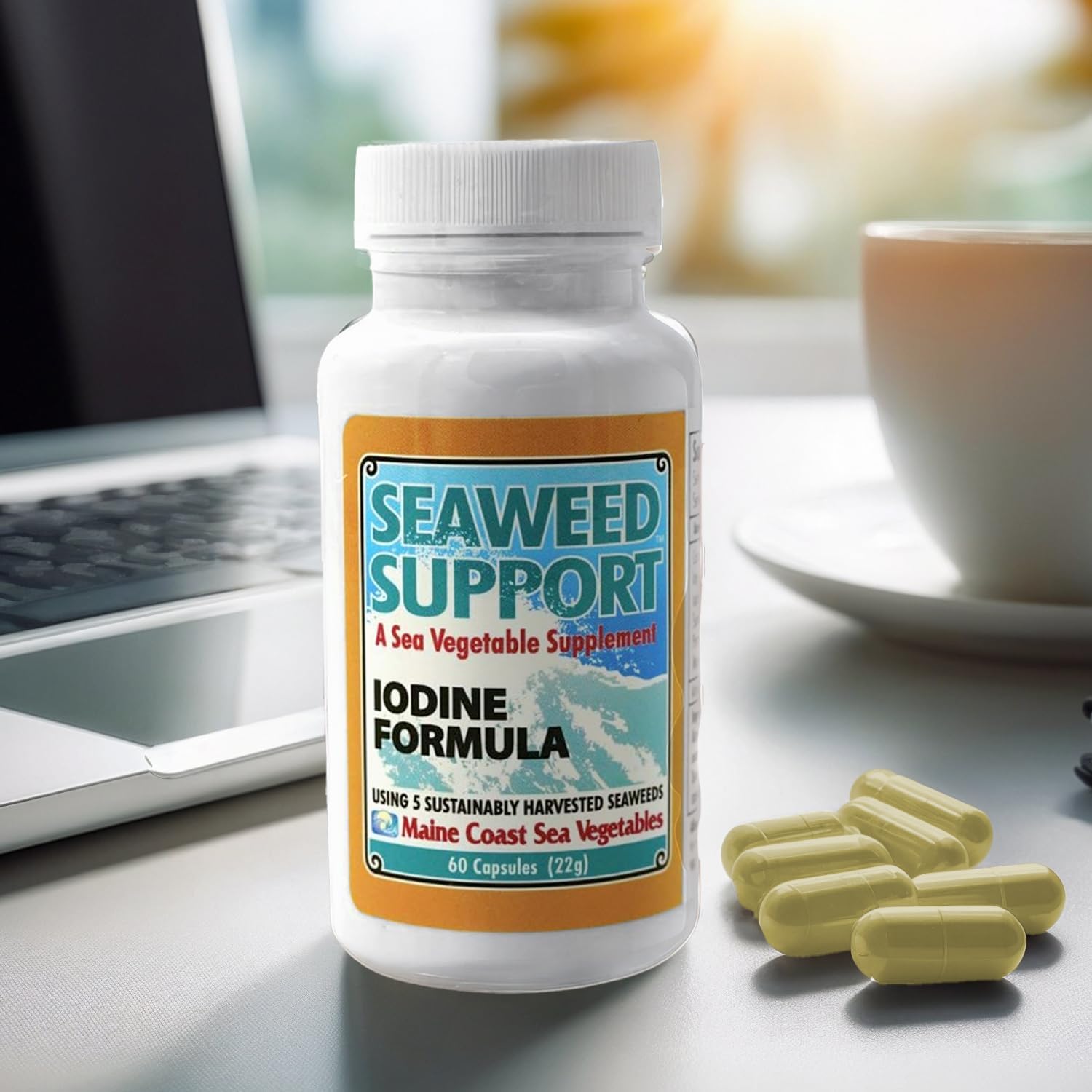 Maine Coast Sea Vegetables Seaweed Support Iodine Formula | Source of Iodine from Seaweed | Daily Use Iodine Supplement | Organic Alaria, Rockweed, Sea Lettuce, Dulse & Bladderwrack blend | 60 Capsule