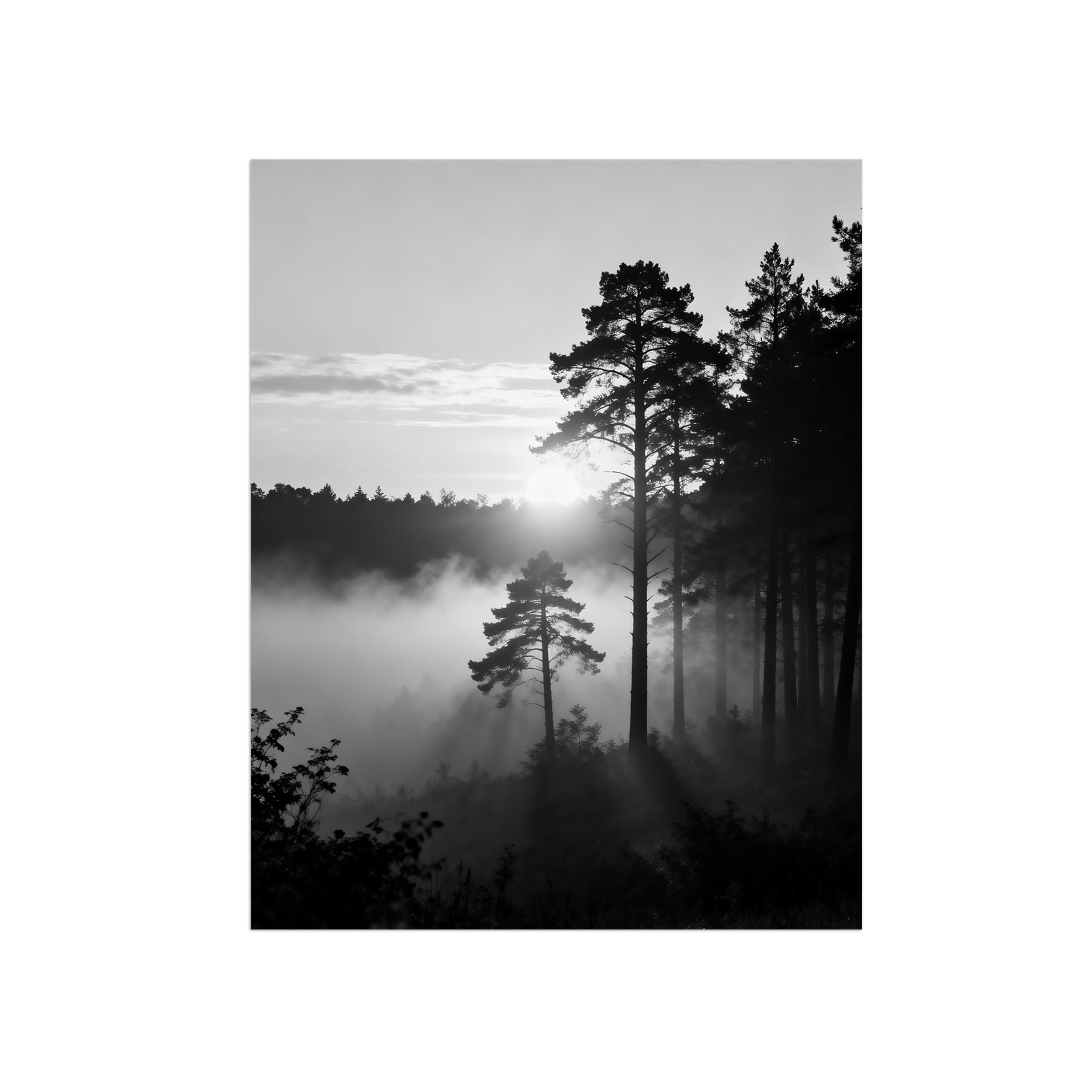 OZPWBVY Black and White Landscape Print Painting-Forest Clouds Sunshine-Minimalist Canvas Wall Art Picture for Home Decor 24x31in 60x80cm Unframed