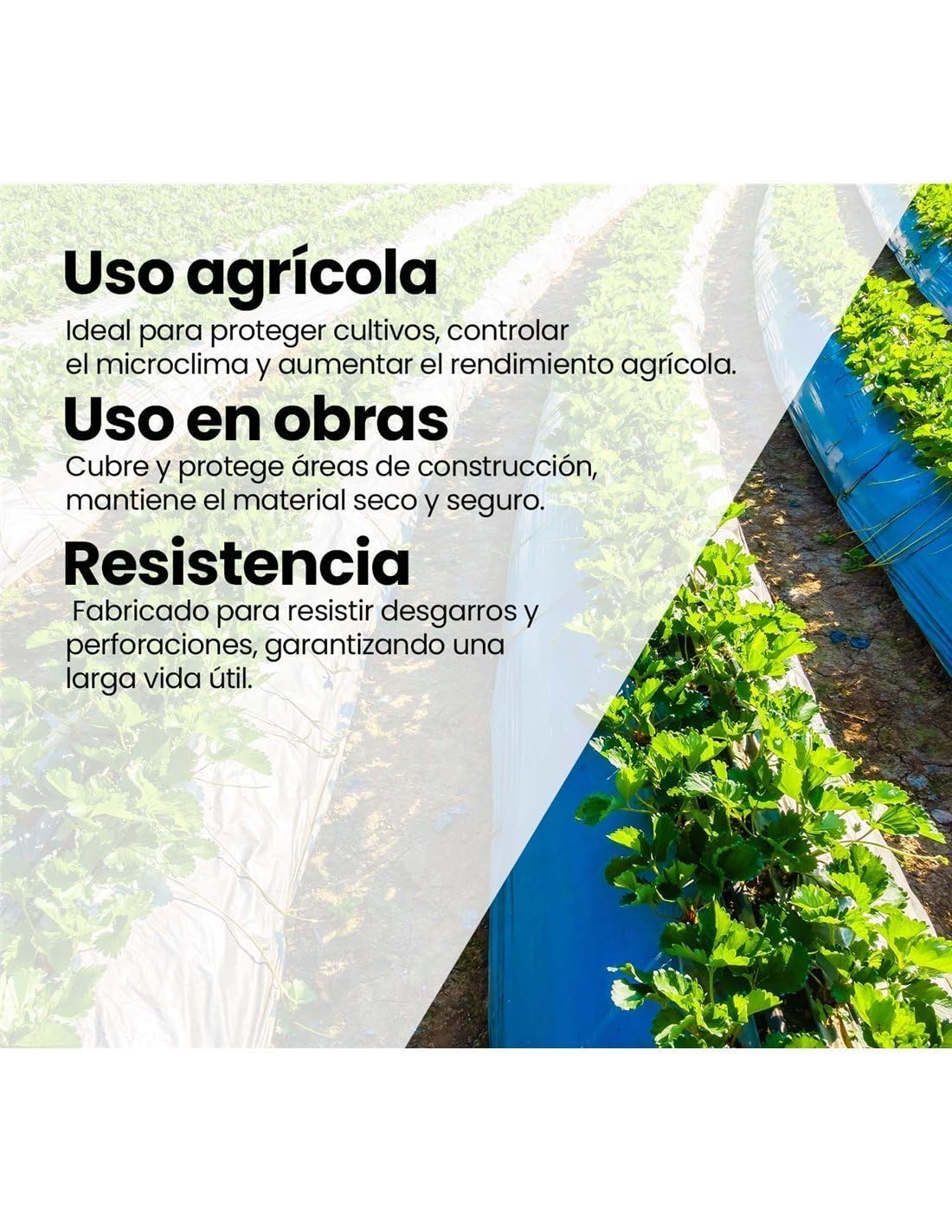 Jardin202 - Plástico para Agricultura y Obra- Transparente - 800 Galgas - DURASOL | 12x41 Metros -