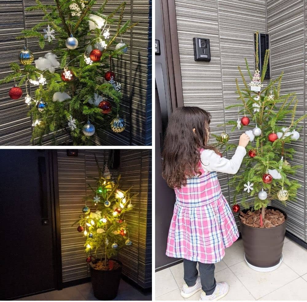 Amazon.co.jp: 売り尽くし!!本物のクリスマスツリー! ドイツトウヒ Amazon.co.jp: 売り尽くし!!本物のクリスマスツリー! ドイツトウヒ