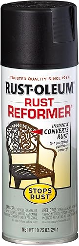 Rust-Oleum 215215 - Aerosol reformador para prevención del óxido, 10.25 onzas, negro