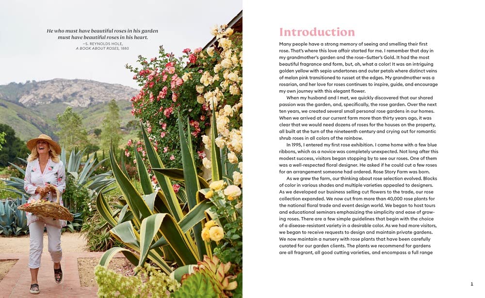 The Color of Roses: A Curated Spectrum of 300 Blooms